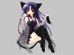  animal_ears catgirl ecchi hentai panties pure_pure ribbons sakurazawa_izumi stockings tail thigh-highs tobari underwear 
