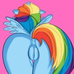 2011 anus ass bishope butt close-up equine female friendship_is_magic furry hair multicolored_hair my_little_pony nude pegasus pink_background plain_background presenting presenting_hindquarters pussy rainbow_dash rainbow_hair raised_tail solo tail thighs wings