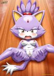  bbmbbf blaze_the_cat blushing legs_spread mobius_unleashed palcomix sega sonic_(series) sonic_the_hedgehog_(series) wet_pussy 