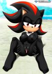  1girl bbmbbf feet female_only full_body mobius_unleashed palcomix pietro&#039;s_secret_club pussy sega shadow_the_hedgehog sonic_(series) sonic_the_hedgehog_(series) vagina 