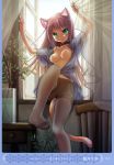 1girl :q absurd_res absurdres animal_ears artist_name belt blush breasts cat_ears cat_tail chair collar collarbone curtain_grab curtains feet green_eyes high_res highres horii_kumi kemonomimi long_hair nekomimi nipples no_bra nopan open_clothes open_shirt open_window oppai original page_number pantyhose pink_hair plant potted_plant scan see-through shirt sitting solo stockings tail thighband_pantyhose thighhighs tongue tongue_out very_long_hair