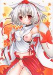  1girl animal_ears bad_id bare_shoulders blush breasts breasts_outside dannashitoyome detached_sleeves female hat inubashiri_momiji leaf maple_leaf nipples no_panties pastel_(medium) pussy red_eyes shield short_hair silver_hair skirt solo sword tail tokin_hat touhou traditional_media uncensored weapon wolf_ears wolf_tail 