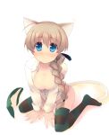  1girl animal_ears big_breasts blue_eyes blush braid breasts brown_hair cat_ears cat_tail cleavage large_breasts long_hair looking_at_viewer lynette_bishop newhonpo panties shin_(new) simple_background single_braid sitting smile solo stockings strike_witches striped striped_legwear tail thighhighs underwear wariza white_background 