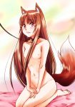  1girl animal_ears bad_hands barefoot bed_sheet blush brown_hair collar covering covering_crotch fang flat_chest holo horo leash lips long_hair nude nude_cover red_eyes sakayama_shinta seiza sitting small_breasts solo spice_and_wolf tail toe_scrunch wolf_ears 