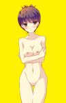  1girl alternate_hairstyle amagi_yukiko atlus black_hair blush breast_hold brown_eyes crossed_arms hair_up high_res highres navel nipples nude persona persona_4 shy simple_background solo thigh_gap uncensored yellow_background yumegi_(mg.) 