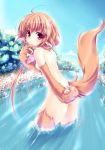 1girl ahoge animal_ears bare_shoulders brown_hair cat_ears cat_paws cat_tail long_hair looking_at_viewer monster_girl original paws red_eyes river sasakuma_kyouta solo tail wading water 