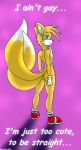  cute fox furry mainnm-e male miles_&quot;tails&quot;_prower multiple_tails tail 