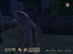  cat_ears cat_tail cg clipping gay male masturbation nude oblivion outside penis public screenshot solo tail the_elder_scrolls toras_(oblivion) white_hair 