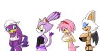  amy_rose blaze_the_cat rouge_the_bat sonic_(series) wave_the_swallow 