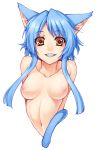  1girl animal_ears blue_hair breasts brown_eyes bust cat_ears cat_tail face fangs grin long_hair navel nipples original payot sidelocks smile solo tail tsuki_to_kage tsuki_tokage upper_body 