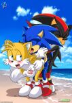  beach bent_over blush from_behind love_train masturbation miles_&quot;tails&quot;_prower mobius_unleashed palcomix penis rear_deliveries shadow_the_hedgehog sonic_(series) sonic_the_hedgehog yaoi 