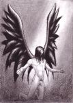  angel kane_(artist) male penis solo wings 