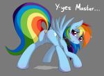  buttplug collar equine friendship_is_magic my_little_pony pegasus pussy rainbow_dash sex_toy smitty_g smittyg wings 