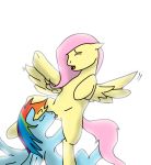  fluttershy friendship_is_magic my_little_pony rainbow_dash white_background 