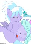  cloudchaser flitter friendship_is_magic medley my_little_pony white_background 