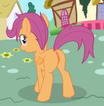  anus equine female friendship_is_magic my_little_pony pegasus pussy scootaloo solo wings zed001 