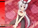  1girl animal_ears bare_shoulders between_legs breasts bunny_ears bunny_girl bunnysuit chocolate chocolate_heart cleavage dracu-riot! elena_olegovna_owen fake_animal_ears fishnet_pantyhose fishnets hairband heart high_res highres kobuichi looking_at_viewer mouth_hold pantyhose red_eyes side_ponytail silver_hair solo squatting wallpaper wrist_cuffs 