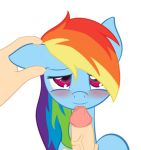  2012 animated beastiality blush drooling equine erection female feral friendship_is_magic gif hair horse human interspecies licking long_hair looking_at_viewer multicolored_hair my_little_pony oral pegasus penis penis_lick pony purple_eyes rainbow_dash rainbow_hair ratofdrawn saliva smile solo tongue tongue_out wings 