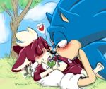  chip_(sonic) closed_eyes couple cum eye_contact fakerface gay heart hedgehog licking light_gaia male penis sega sex sonic_(series) sonic_the_hedgehog sonic_the_hedgehog_(series) testicles tongue 