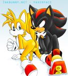  blue_eyes canine fakerface fox gay male miles_&quot;tails&quot;_prower penis red_eyes sega shadow_the_hedgehog 