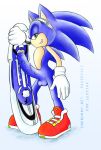  cum fakerface gay hedgehog looking_at_viewer male penis sega sex solo sonic_the_hedgehog testicles 