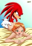  bbmbbf frances furry knuckles_the_echidna mobius_unleashed palcomix sega sonic_x 