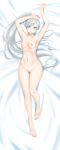  1girl alfred_cullado armpits arms_up asymmetrical_hair bangs barefoot bed bed_sheet blue_eyes breasts clavicle dakimakura extremely_high_resolution feet gluteal_fold high_ponytail high_resolution large_filesize long_hair looking_at_viewer lying nipples nude on_back on_bed paid_reward patreon_reward ponytail pussy rwby scar scar_across_eye shiny shiny_hair side_ponytail silver_hair small_breasts smile swept_bangs thigh_gap tied_hair very_high_resolution very_long_hair viewed_from_above weiss_schnee 