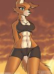 1girl 2006 abs aqua_eyes blue_eyes breasts brutal:_paws_of_fury cameltoe canine female female_only fox foxy_roxy foxy_roxy_(gametek) furry green_eyes midriff orange_hair outside pinup solo solo_female standing sunset tail tailsrulz tear tight_clothing wide_hips
