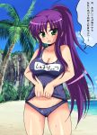  1girl afuro beach big_breasts breasts faris_scherwiz female final_fantasy final_fantasy_v green_eyes large_breasts long_hair nature one-piece_swimsuit open_mouth outdoors ponytail purple_hair sky solo swimsuit translation_request tree water 