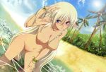  1girl alleyne beach blue_eyes braid breasts cloud elf high_res leaf long_hair megami miyazawa_tsutomu nude_filter palm_tree photoshop pointy_ears pussy queen&#039;s_blade silver_hair sky solo tree uncensored very_long_hair water 