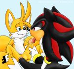  fakerface_(artist) foreskin furry gay male miles_&quot;tails&quot;_prower oral shadow_the_hedgehog shails uncut  