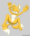  1girl arms_up genderswap m miles_&quot;tails&quot;_prower millie_tailsko on_back pussy rule*63 rule63 rule_63 sega sonic sonic_(series) sonic_the_hedgehog_(series) spread_legs 