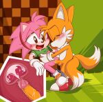 amy_rose apinkgrape furry miles_&quot;tails&quot;_prower nipples rosy_the_rascal sega sonic_the_hedgehog_(series) tagme