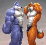  2boys anthro bara big bodybuilder braford braford0005_(artist) briefs canine furry male male_only multiple_boys muscle muscles no_humans partially_clothed pose speedo testicles thong underwear 