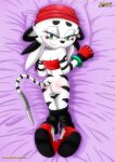  bbmbbf jian_the_tiger mobius_unleashed palcomix sega sonic_(series) 