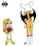  3pac cream_the_rabbit furry rouge_the_bat sonic_(series) wings 