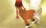 1440x900 2008 back butt canine female fox furry mark_thompson_(artist) nude original solo standing summer sun tail tailsrulz valencia_(mark_thompson) wallpaper water wave wide_hips widescreen