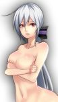 1girl big_breasts breasts covering long_hair nude silver_hair 