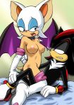  anthro bbmbbf comic furry mobius_unleashed palcomix rouge_the_bat sega shadow_the_hedgehog sonic_(series) sonic_team sonic_the_hedgehog_(series) 