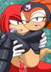  anthro bbmbbf comic furry knuckles_the_echidna mobius_unleashed palcomix sega shade_the_echidna sonic_(series) sonic_team sonic_the_hedgehog_(series) 