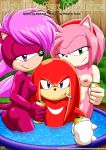  amy_rose anthro bbmbbf comic cover_page furry hot_tub_sex_machine knuckles_the_echidna mobius_unleashed palcomix sega sonia_the_hedgehog sonic_(series) sonic_the_hedgehog_(series) sonic_underground 