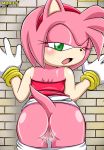  amy_rose anthro bbmbbf furry mobius_unleashed palcomix sega sonic_(series) sonic_team sonic_the_hedgehog_(series) 