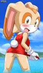  anthro bbmbbf beach blush clothing cream_the_rabbit female furry lagomorph looking_at_viewer looking_over_shoulder mobius_unleashed palcomix plump_labia pussy rabbit sea seaside sega solo sonic_(series) sonic_team sonic_the_hedgehog_(series) surprised 