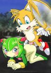  anthro bbmbbf comic cosmo_the_seedrian furry miles_&quot;tails&quot;_prower mobius_unleashed palcomix sega sonic_(series) sonic_team sonic_the_hedgehog_(series) sonic_x 