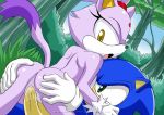  anthro bbmbbf blaze_the_cat comic furry mobius_unleashed palcomix sega sonic_(series) sonic_the_hedgehog sonic_the_hedgehog_(series) 