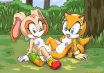 2_girls anthro bbmbbf cream_the_rabbit dildo_in_pussy double_dildo female/female female_only furry marine_the_raccoon mobius_unleashed outside palcomix sega sonic sonic_(series) sonic_the_hedgehog_(series) vaginal_insertion yuri