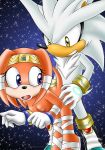  anthro bbmbbf breasts comic female from_behind furry gloves hedgehog hetero male mobius_unleashed nude palcomix penetration sega sex silver_the_hedgehog sonic_(series) sonic_team sonic_the_hedgehog_(series) tikal_the_echidna 