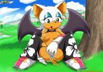  anthro bbmbbf breasts dildo furry mobius_unleashed palcomix pussy rouge_the_bat sega sonic_(series) sonic_team sonic_the_hedgehog_(series) spread_legs vaginal_insertion 