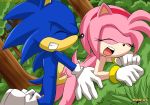  amy_rose anthro bbmbbf furry mobius_unleashed palcomix sega sonic_(series) sonic_team sonic_the_hedgehog sonic_the_hedgehog_(series) 