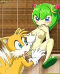 anthro bbmbbf cosmo_the_seedrian furry miles_&quot;tails&quot;_prower mobius_unleashed palcomix sega sonic_(series) sonic_team sonic_the_hedgehog_(series) sonic_x